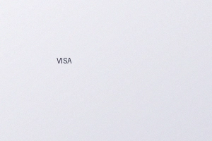 VISA信用卡支付